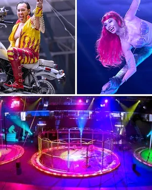 Jordan World Circus